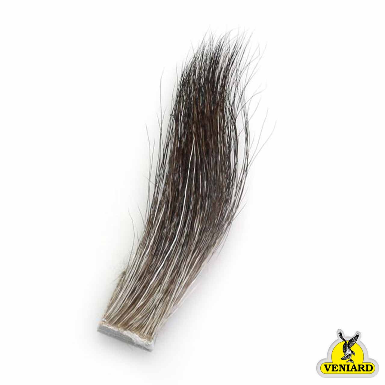 veniard-moose-mane-alce veniate moose mane alce