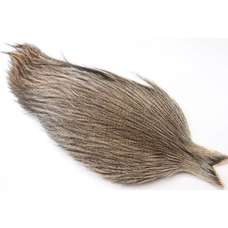 collo-di-gallopardo-coq-de-leon-cape-colore-medium-pardo